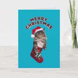 かわいいメインクーンの猫のクリスマス シーズンカード
