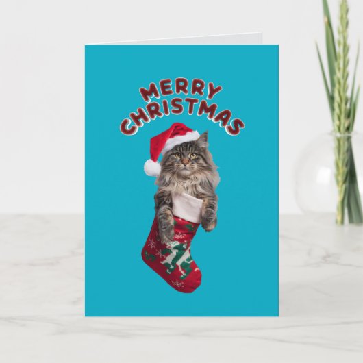 かわいいメインクーンの猫のクリスマス シーズンカード (正面)