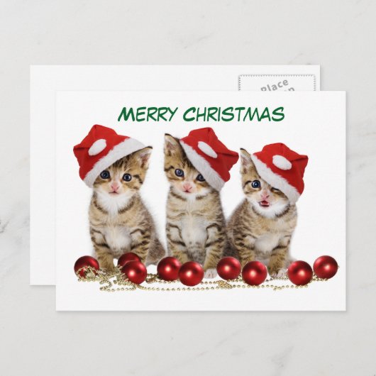 かわいいメリークリスマスの子猫 シーズンポストカード (正面/裏面)