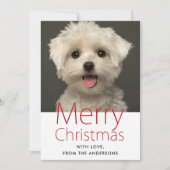 かわいいメリークリスマスペットの写真 シーズンカード (正面)