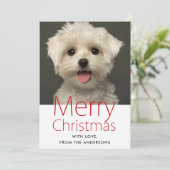 かわいいメリークリスマスペットの写真 シーズンカード (スタンド正面)