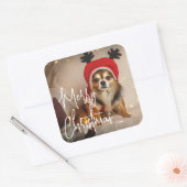 かわいいメリークリスマスペットの写真 スクエアシール (封筒)