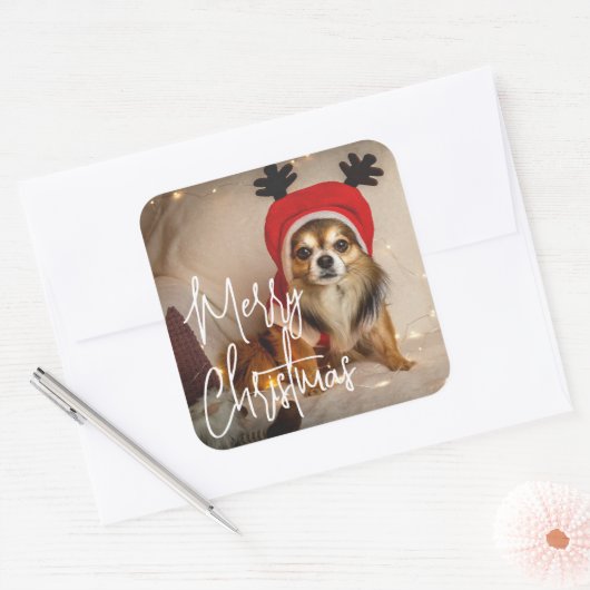 かわいいメリークリスマスペットの写真 スクエアシール (封筒)