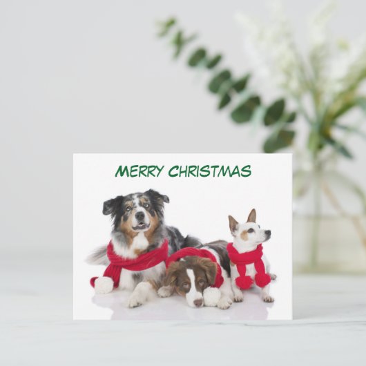 かわいいメリークリスマス犬 シーズンポストカード (スタンド正面)