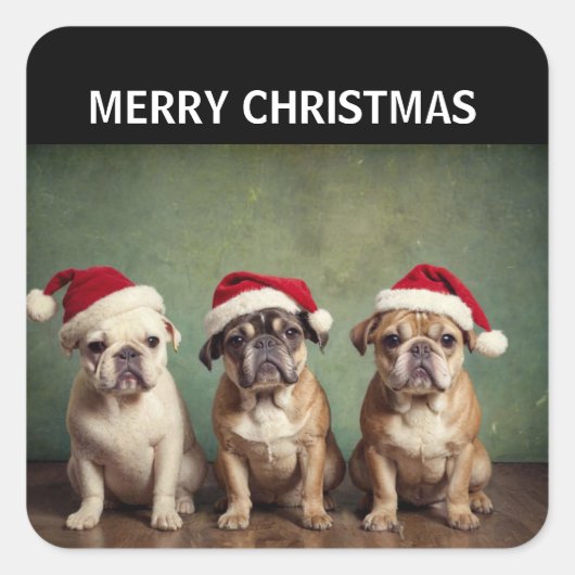 かわいいメリークリスマス犬 スクエアシール (正面)