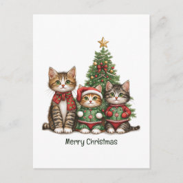 かわいいメリークリスマス猫 シーズンポストカード