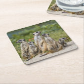 かわいいメルカット スクエアペーパーコースター (アングル)