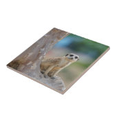 かわいいメルカートが木の上に座った タイル (側面)