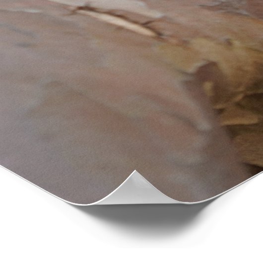 かわいいメルカートが木の上に座った ポスター (角)