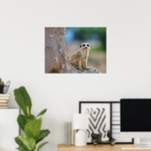 かわいいメルカートが木の上に座った ポスター (ホームオフィス)