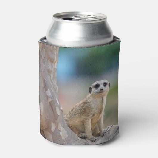 かわいいメルカートが木の上に座った 缶クーラー (缶正面)