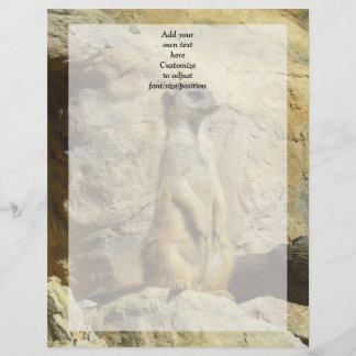 かわいいメルカート写真