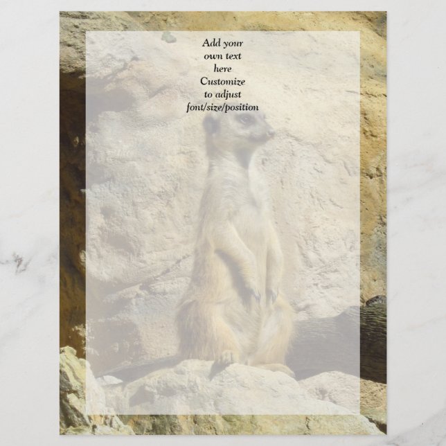 かわいいメルカート写真 (正面)