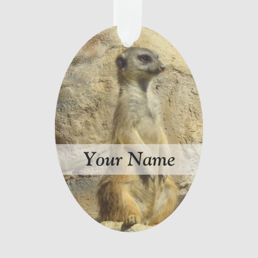 かわいいメルカート写真 オーナメント (正面)