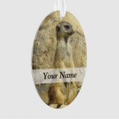 かわいいメルカート写真 オーナメント (正面)