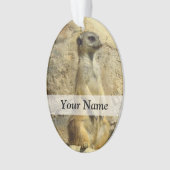 かわいいメルカート写真 オーナメント (正面)