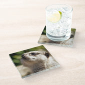 かわいいメルカート ガラスコースター (アングル)