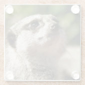 かわいいメルカート ガラスコースター (裏面)