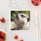 かわいいメルカート スタンダードカクテルナプキン (インサイチュ)