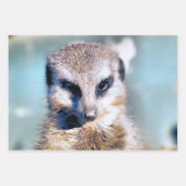 かわいいメルカート ラッピングペーパーシート (正面3)