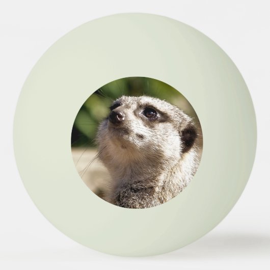 かわいいメルカート 卓球ボール (正面)