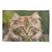 かわいいメーヌクーンキッテン猫ポートレート – ピローカバー 枕カバー (裏面)