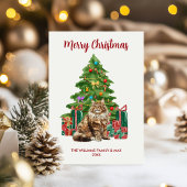 かわいいメーヌクーンキャットクリスマスカード シーズンカード