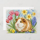 かわいいモルモットと春の花はがき ポストカード (正面/裏面)