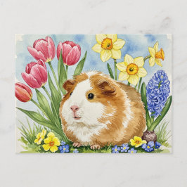 かわいいモルモットと春の花はがき ポストカード