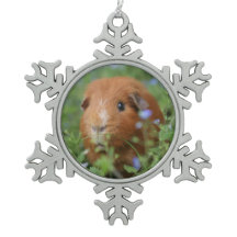 かわいいモルモットのクリスマスのオーナメントペットcavyのcavies