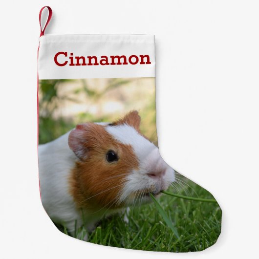 かわいいモルモットのペットの写真と名前パーソナライズされた スモールクリスマスストッキング (正面)