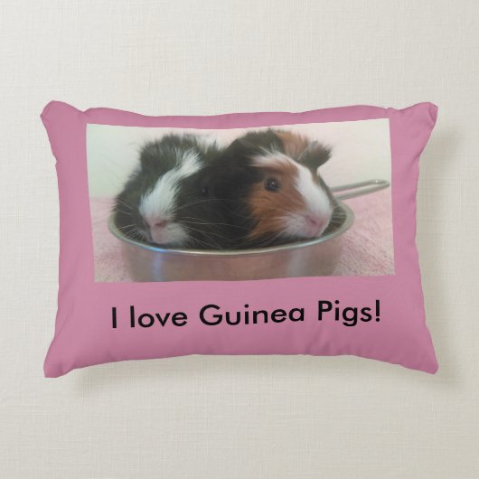 かわいいモルモットの枕 アクセントクッション (正面)