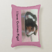 かわいいモルモットの枕 アクセントクッション (正面(垂直))