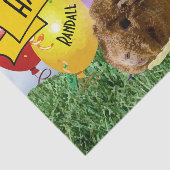 かわいいモルモット写真こども誕生日バルーン 薄葉紙 (詳細)