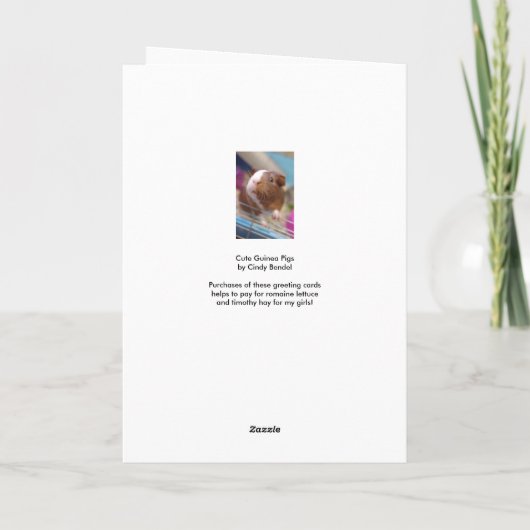 かわいいモルモット カード (裏面)