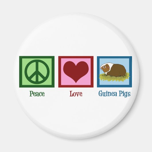 かわいいモルモット マグネット (正面)