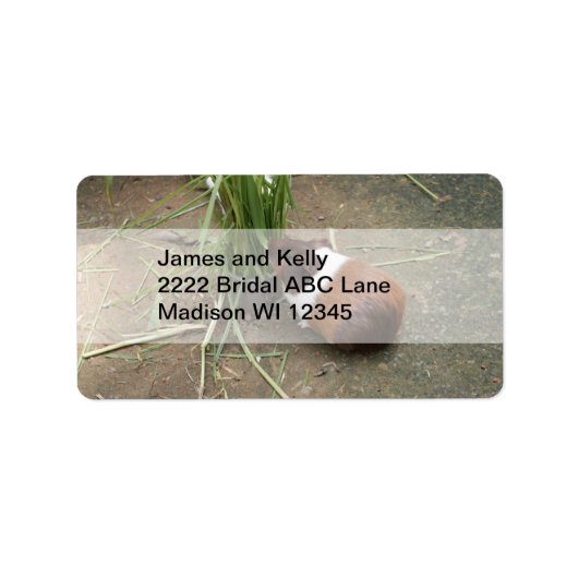 かわいいモルモット ラベル (正面)