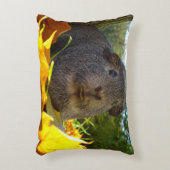 かわいいモルモットin自然 アクセントクッション (正面(垂直))