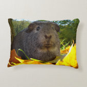 かわいいモルモットin自然 アクセントクッション (裏面)