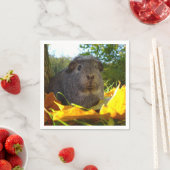 かわいいモルモットin自然 スタンダードカクテルナプキン (インサイチュ)