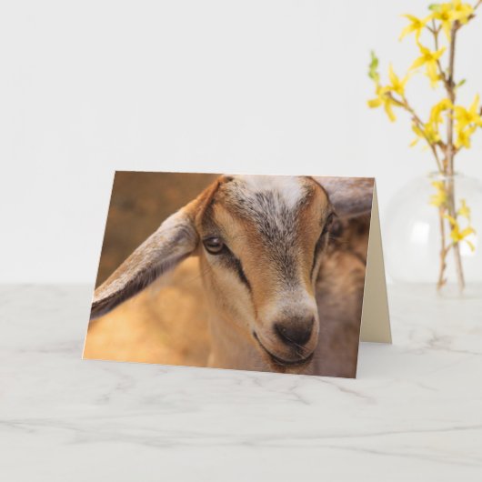 かわいいヤギが元気に カード (黄色い花)