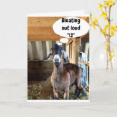 かわいいヤギが「第12回誕生日のお願い」カードで大声で鳴く カード (黄色い花)