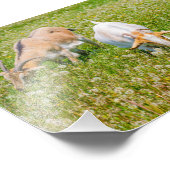 かわいいヤギたち家畜 フォトプリント            (角)