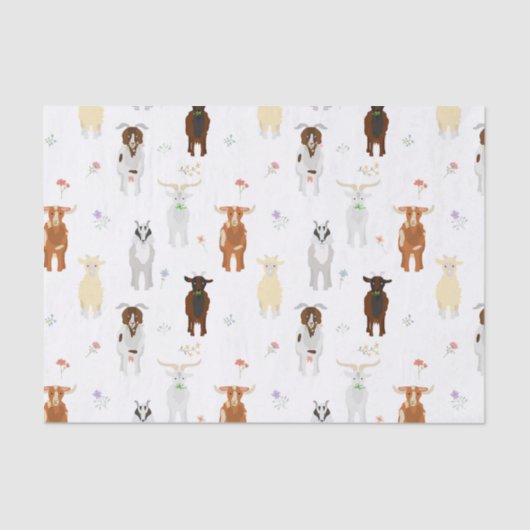 かわいいヤギたち家畜 薄葉紙 (正面)