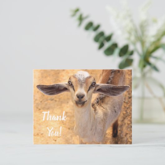 かわいいヤギちゃん　ありがとう　ポストカード ポストカード (スタンド正面)