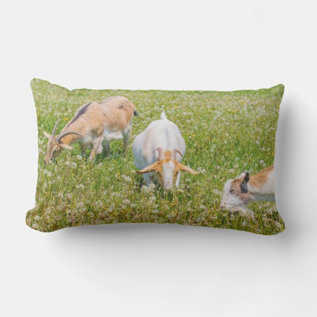 かわいいヤギ畑の動物グリーン アウトドアクッション (正面)