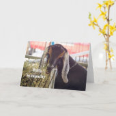 かわいいヤギ長耳フォト悔やみや弔慰 カード (黄色い花)