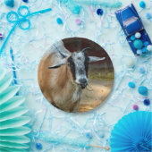 かわいいヤギ食べ物の干し草の写真 ペーパープレート (パーティー)