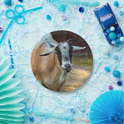 かわいいヤギ食べ物の干し草の写真 ペーパープレート (パーティー)