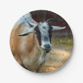 かわいいヤギ食べ物の干し草の写真 ペーパープレート (正面)